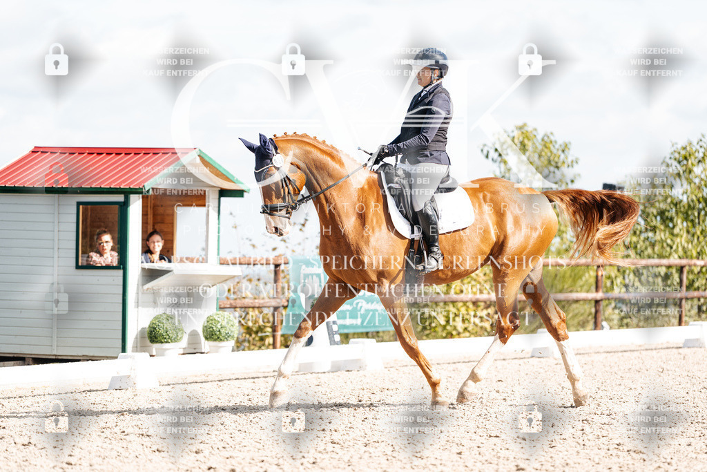 CK902457 | Turnierfotografie Pferdefotografie Trier Rheinland-Pfalz Pferdesport Reitsport Tierfotografie Sportfotografie Pferdevideo Pferdevideografie Equestrianvideography equestrianphotography  - Realisiert mit Pictrs.com