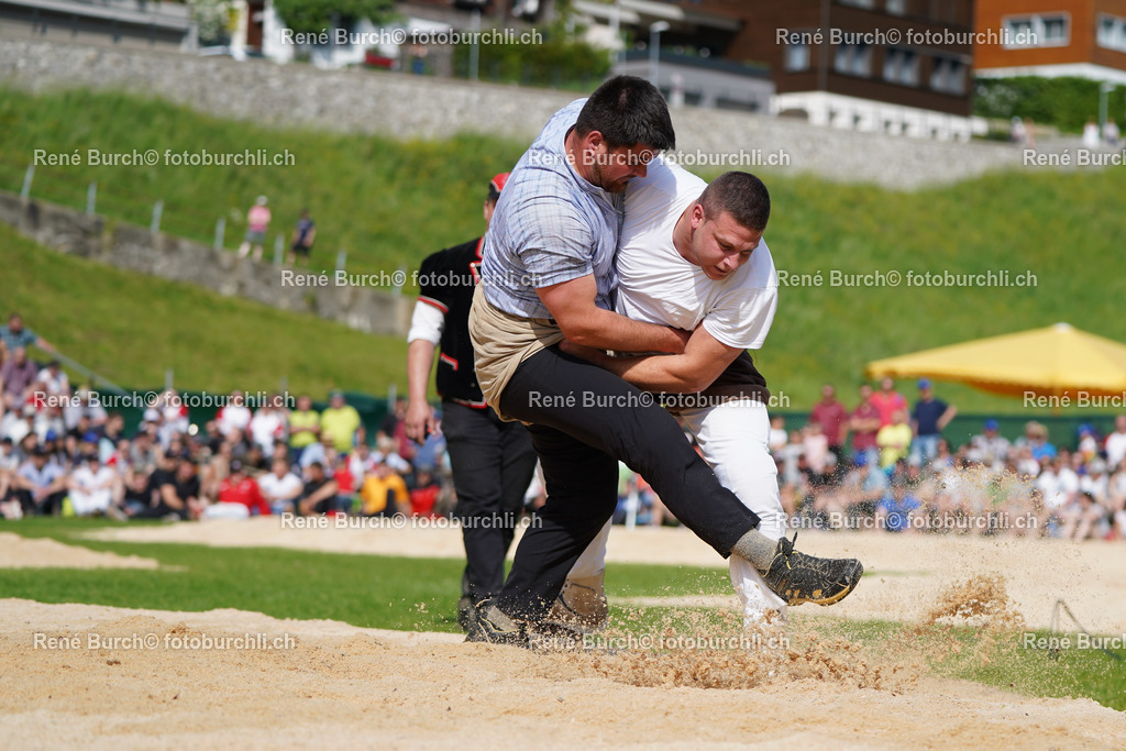 20220515-DSC08159 | René Burch leidenschaftlicher Fotograf aus Kerns in Obwalden.  Hier finden sie Sport, Landschaft und Natur Fotografie.
 - Realisiert mit Pictrs.com