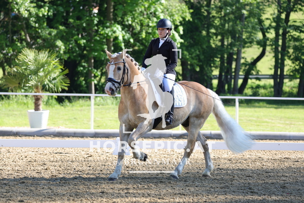 0P6A9357 | Willkommen bei Brunnmayr - Design & Fotografie – Ihrem Spezialisten für Reitturniere und Pferdeveranstaltungen in Oberösterreich, Salzburg und Bayern! Seit über 17 Jahren sind wir leidenschaftlich dabei.