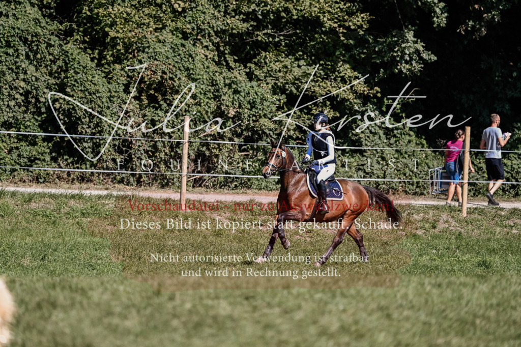 DSC_1289 | Pferde- und Turnierfotografie in Westsachsen. Pferdeportraits, Auftragszeichnungen und intuitive Kunst.