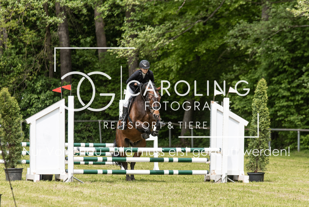 DSC_2917 | Turnierfotografin Carolin Gieschke, Turnierfotografie Carolin G Fotografie, Turnierfotos Kirchheim/Teck, Esslingen, Stuttgart, Bodenseekreis