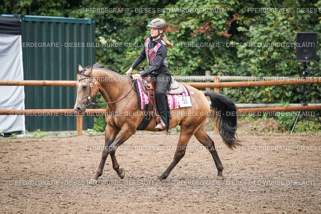 DSC02537 | Pferdegrafie