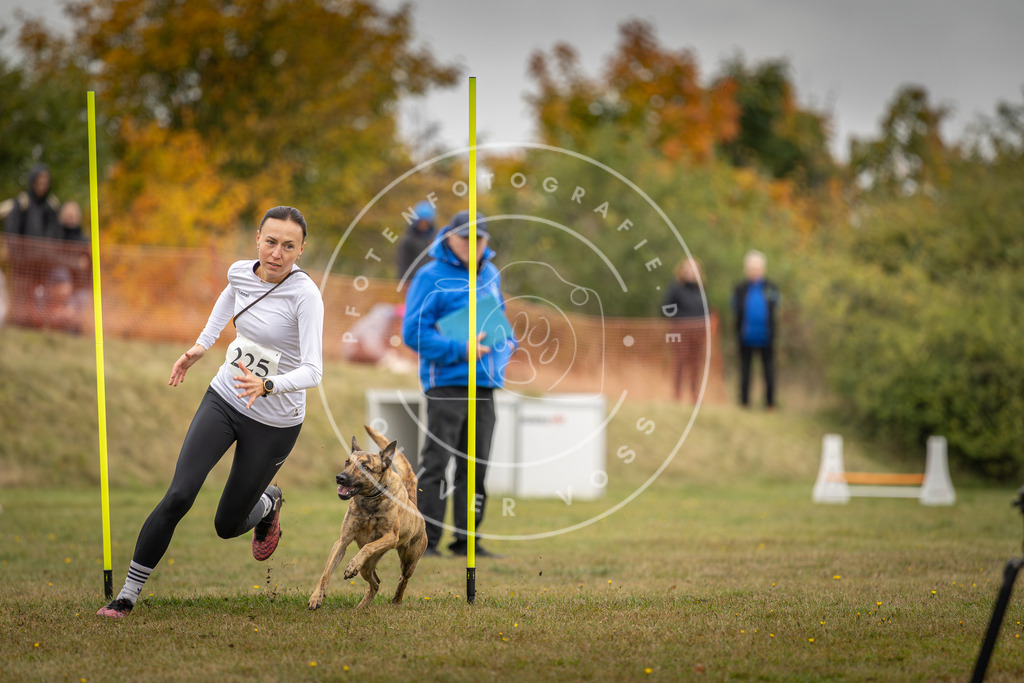 Pfotenfotografie_DV3A3928 | Hundefotografie, Tierfotograf, Pfotenfotografie, Fotoshooting Hund, Hunde Portrait, Hundesport, Hundeportraits, Heideshooting, Hunde, Sportfotograf, Hundefotograf, Turnierhundsport, THS,  - Realisiert mit Pictrs.com