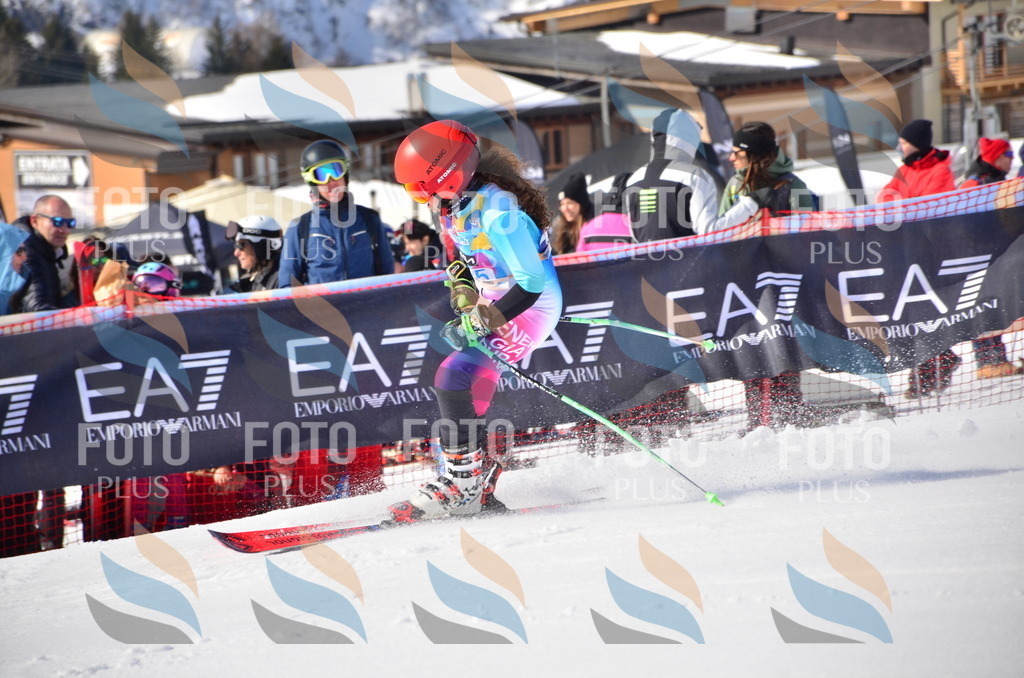 VR4_9679 | holidayphoto