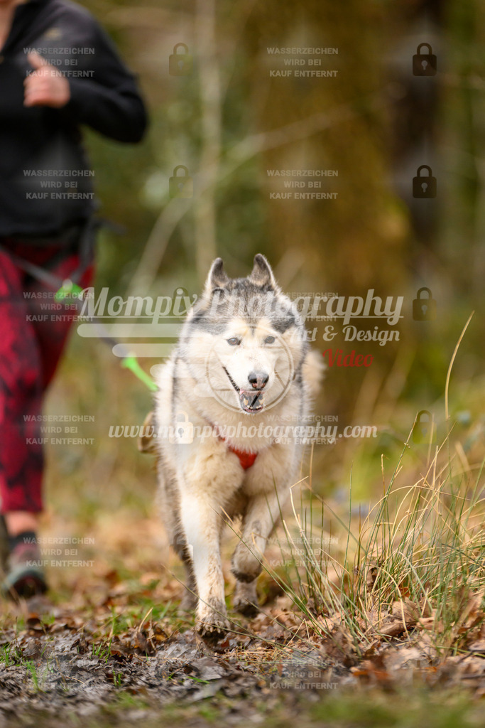 MompixPhotography_CDSM24_SA_Fun-2 | PayLife