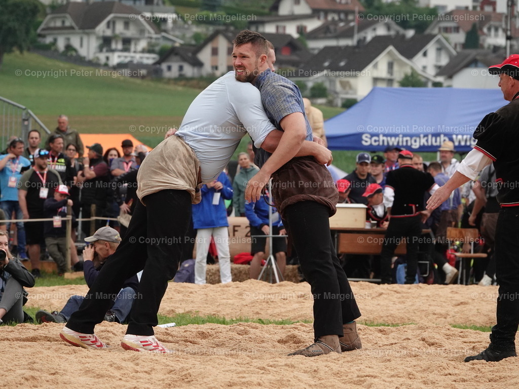 DSC04857 | Schwingen - Realisiert mit Pictrs.com