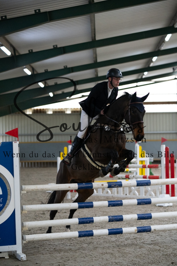 A7V08751 | Pferdefotograf