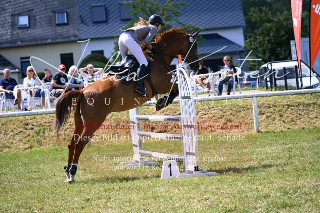 DSC_0220 | Pferde- und Turnierfotografie in Westsachsen. Pferdeportraits, Auftragszeichnungen und intuitive Kunst.
