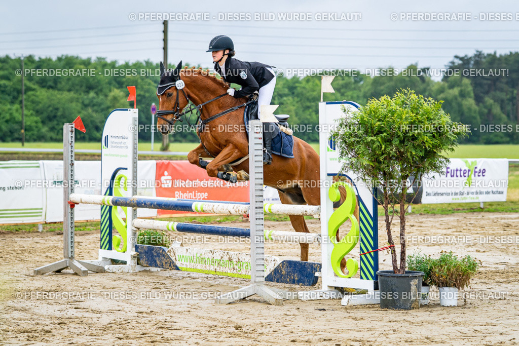 DSC02696 | Pferdegrafie