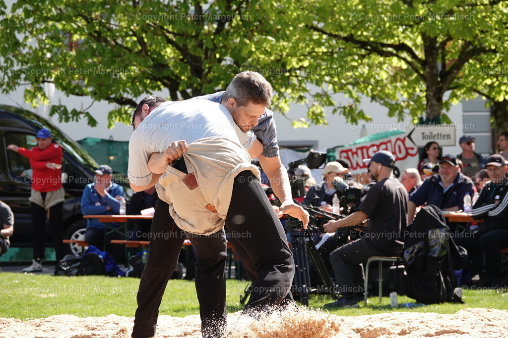 DSC00518 | Schwingen - Realisiert mit Pictrs.com