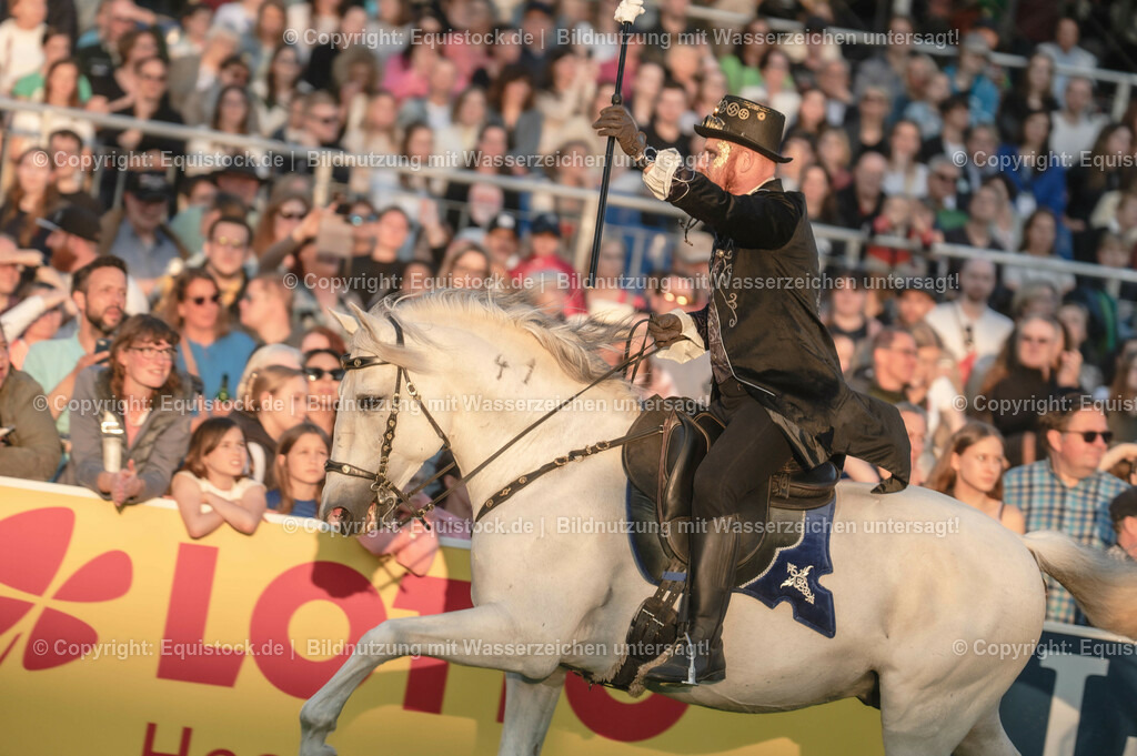 20230526_Pferdenacht_0322 | equistock