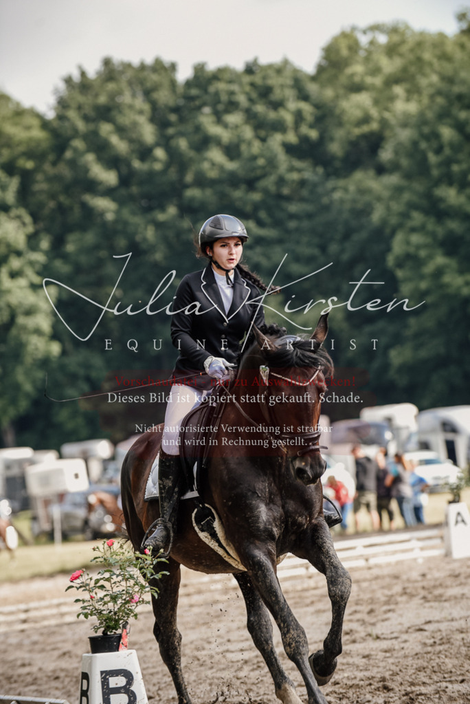 DSC_8675 | Pferde- und Turnierfotografie in Westsachsen. Pferdeportraits, Auftragszeichnungen und intuitive Kunst.