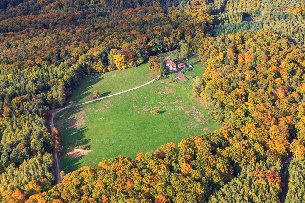 Aerial view: Forester's lodge in a forest clearing in the district Windstein in Windstein in the state Bas-Rhin, France.Photo: IMG_084614.jpg taken on 10/23/2015 by Werner Riehm/FLY-FOTO.comResolution of the original: 5472 x 3648 px