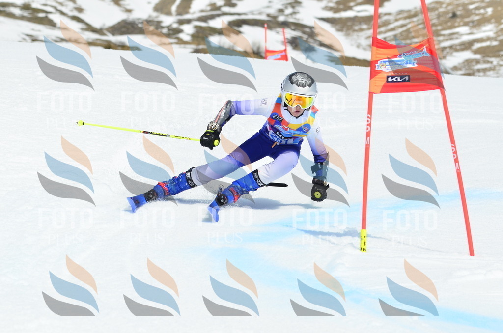 _ELE2079 | holidayphoto