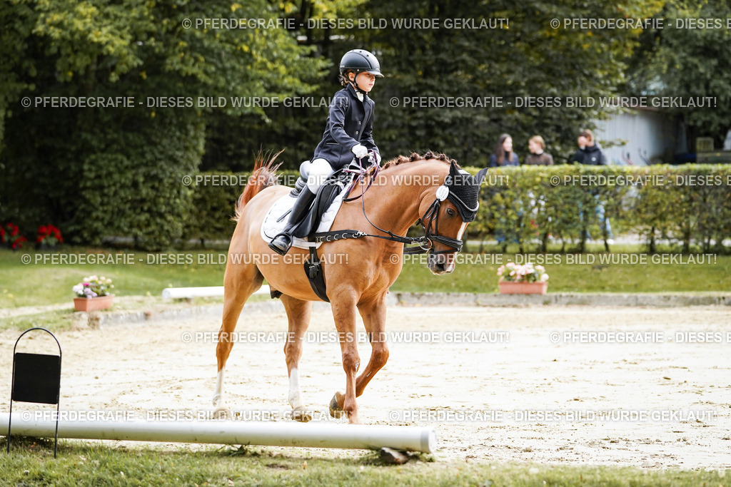 DSC05467 | Pferdegrafie