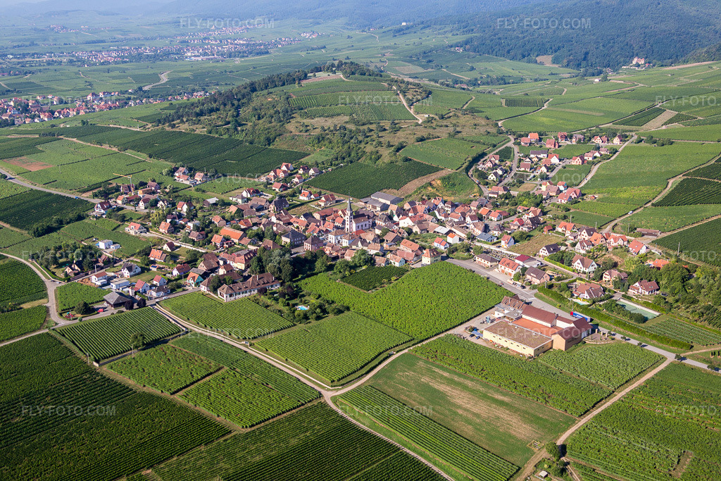 Aerial view: Agricultural fields and arable land in Rorschwihr in the state Haut-Rhin, France. – Photo: IMG_093317.jpg taken on 08/16/2016 by Werner Riehm/FLY-FOTO.com – Resolution of the original: 5472 x 3648 px