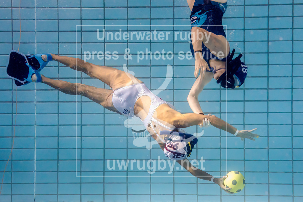 24. - 26.11.2023: Unterwasser-Rugby Champions Cup 2023  | Damen-Spiel um Platz 5:  Amager Uv-Rugby (Dänemark) in blau gegen UWRC Wien / Österreich in weiß. Bilim Erbas (weiß #95) wird beim Konter in der Spielfeldmitte von Anna Kjelstrup Frandsen (blau #18) abgefangen. - Realisiert mit Pictrs.com