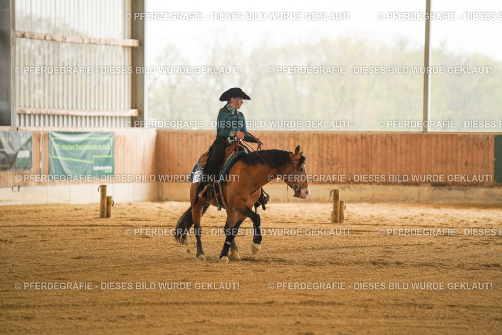 DSC09784 | Pferdegrafie