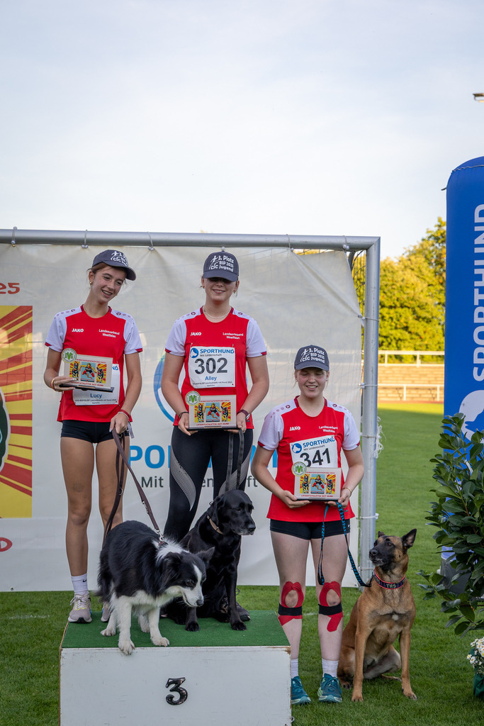 Pfotenfotografie_DV3A4864-2 | Hundefotografie, Tierfotograf, Pfotenfotografie, Fotoshooting Hund, Hunde Portrait, Hundesport, Hundeportraits, Heideshooting, Hunde, Sportfotograf, Hundefotograf, Turnierhundsport, THS,  - Realisiert mit Pictrs.com