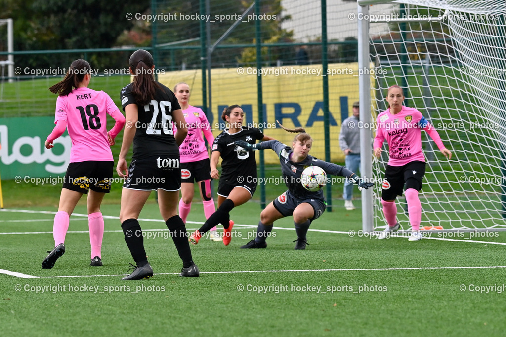Liwodruck Carinthians Hornets vs. FC Pingau Saalfelden Frauen 29.10.2023  | #14 Nicole Dominique Gatternig, #1 Anja Meier, #17 Genesis Soraya Castrellon, #26 Natalie Lynn Stephens, #18 Laura Therese Kert