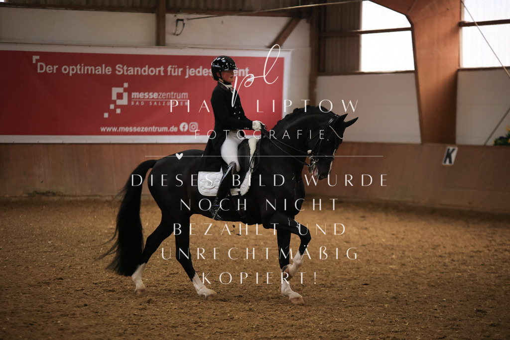 IMGT5546 | pl-fotografie