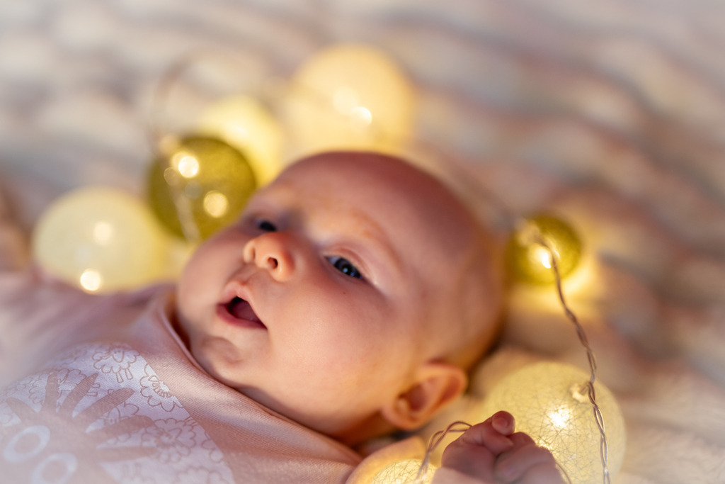 IMG_7030 | ehrlichefotos - Realisiert mit Pictrs.com