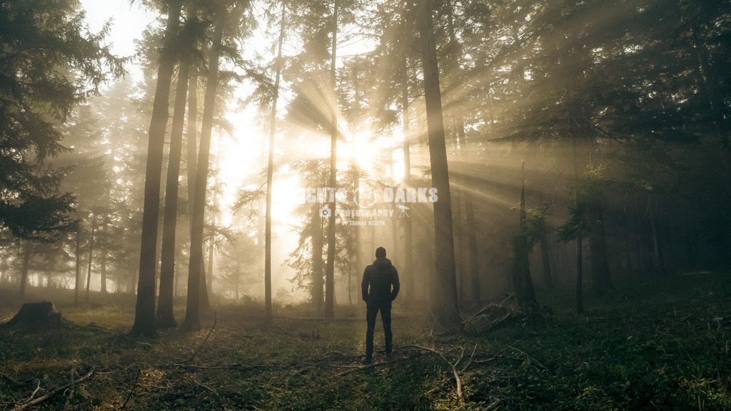 Hope | The moment when the light of the sun brakes through the fog ... magical! - Realisiert mit Pictrs.com