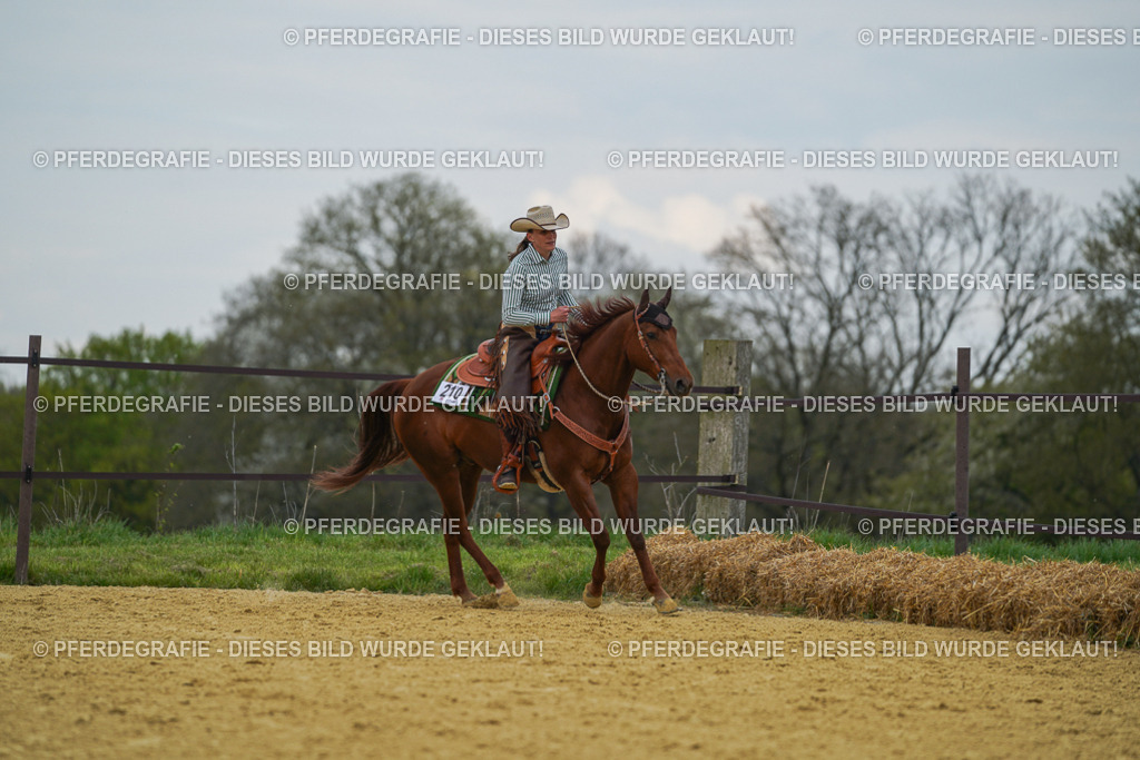 DSC06918 | Pferdegrafie