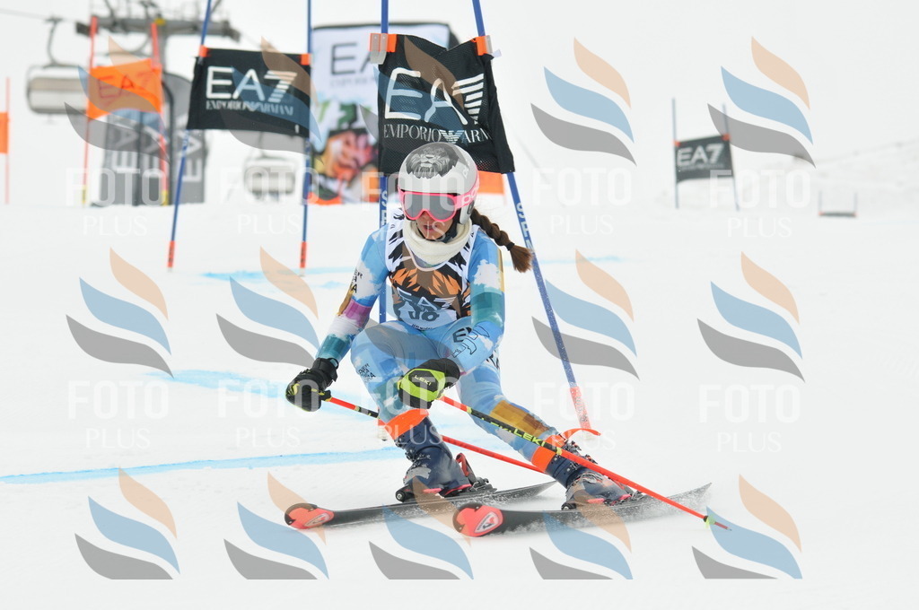 DSC_8047 | holidayphoto