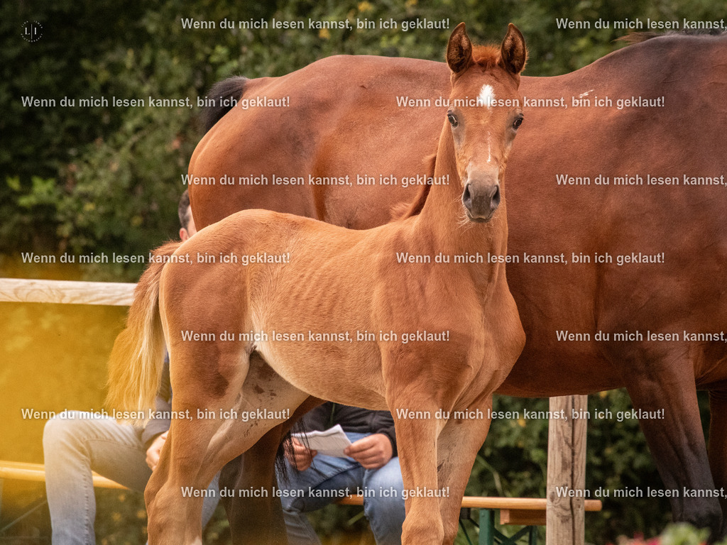 A10I5868 | photographylinaismer - Realisiert mit Pictrs.com