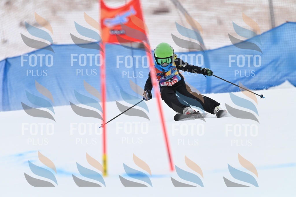 BGV_2973 | holidayphoto