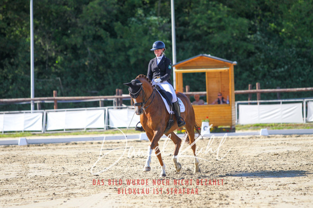 DKP42700 | Turniersportfotografie; Pferdefotografie; Dressurfotografie