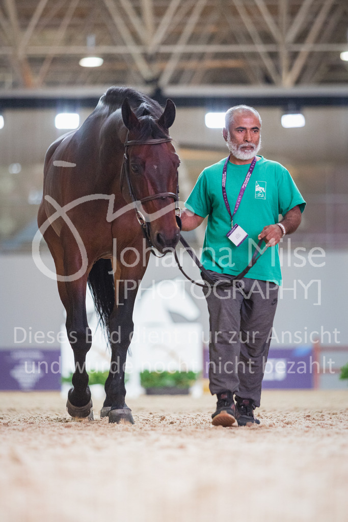 230215_Riyadh_Vet-Check-112 | Deine schönsten Turniermomente als professionelle Fotos! Entdecke hochwertige Pferdesport-Fotografie im Online-Shop. Jetzt Fotos finden & bestellen!