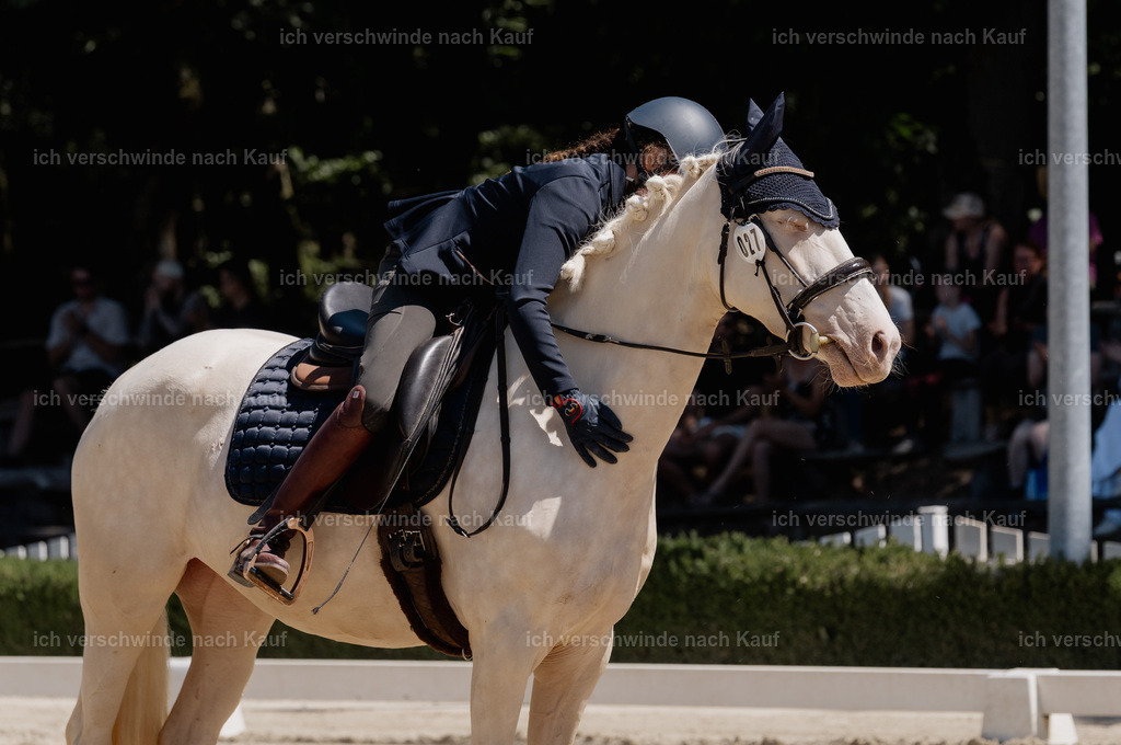 WE_DR_27_SinaFilmArt_IN03097 | working equitationturnier fotograf videograf stoibphotography marixx film working equitation deutschland reitsport turnierfotografie eventfotografie equestrian events
