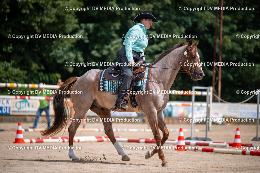 ZS2_3767 | dv-media-shop - Realisiert mit Pictrs.com