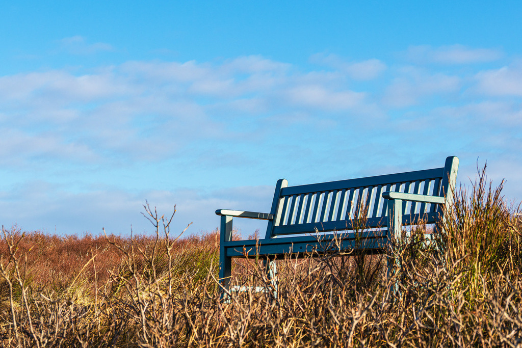Eine Sitzbank an der Küste der Ostsee auf dem Fischland-Darß | Eine Sitzbank an der Küste der Ostsee auf dem Fischland-Darß.