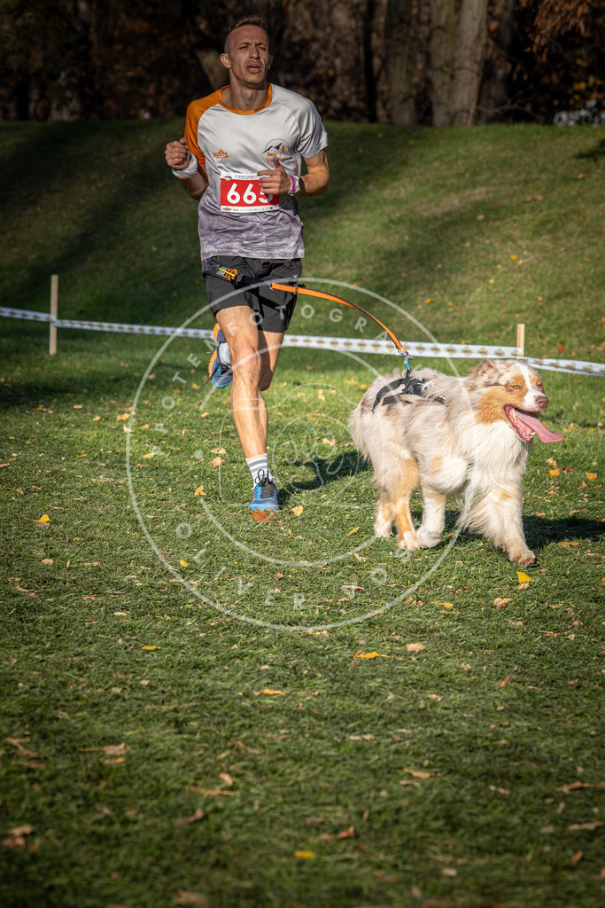 CaniXpix_0L8A9195 | Hundefotografie, Tierfotograf, Pfotenfotografie, Fotoshooting Hund, Hunde Portrait, Hundesport, Hundeportraits, Heideshooting, Hunde, Sportfotograf, Hundefotograf, Turnierhundsport, THS,  - Realisiert mit Pictrs.com