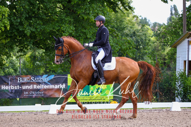 DKP41291 | Turnierfotos kaufen im Webshop von Daniel Kuhl Photography – entdecke professionelle Reitsportfotos aus Turnieren & Events. Hochwertige Turnierbilder online bestellen & sichern. Jetzt Fotos von Reitsportturnieren kaufen!