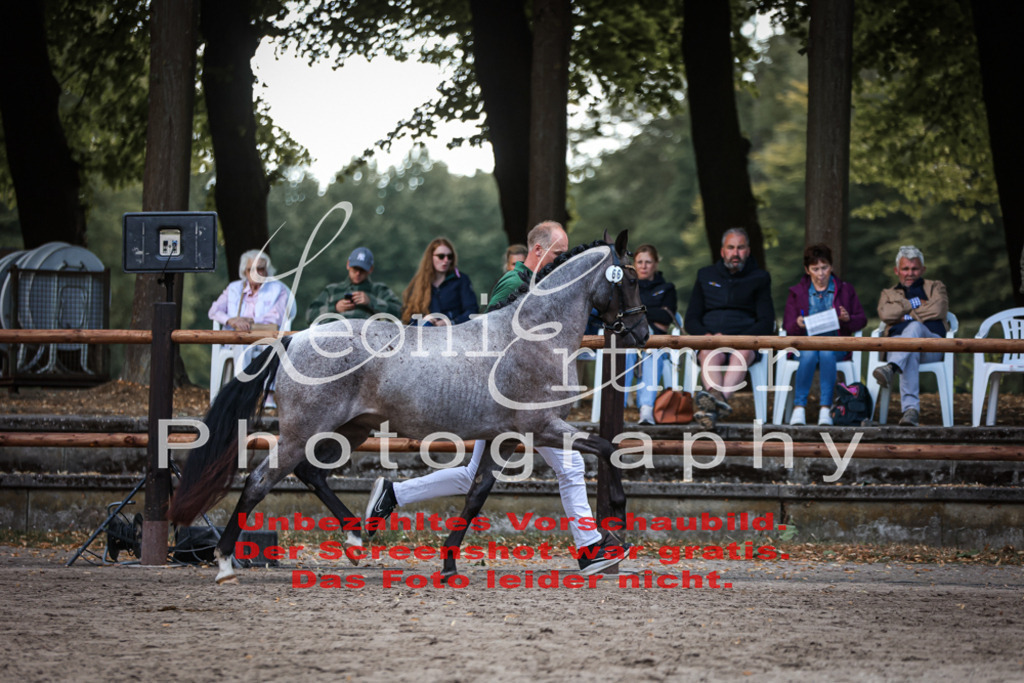 SoER00004 | Leoni Ertmer Photography - Realisiert mit Pictrs.com