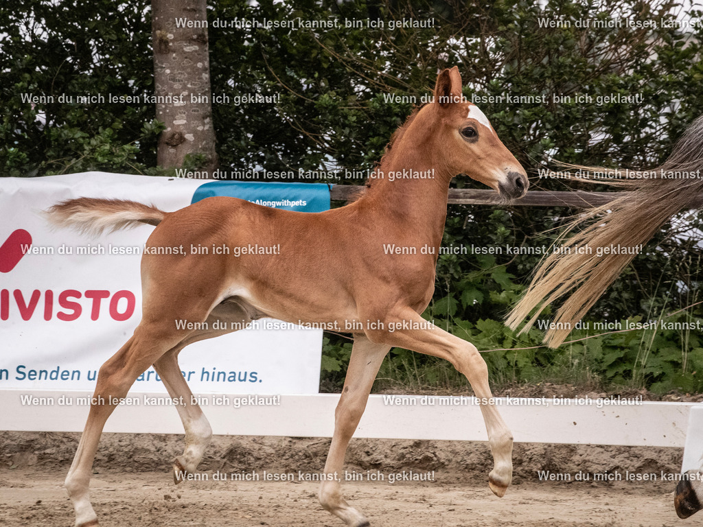 A10I9435 | photographylinaismer - Realisiert mit Pictrs.com