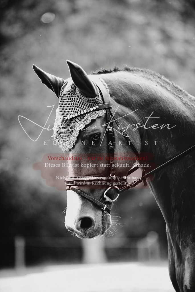 DSC_0765 | Pferde- und Turnierfotografie in Westsachsen. Pferdeportraits, Auftragszeichnungen und intuitive Kunst.