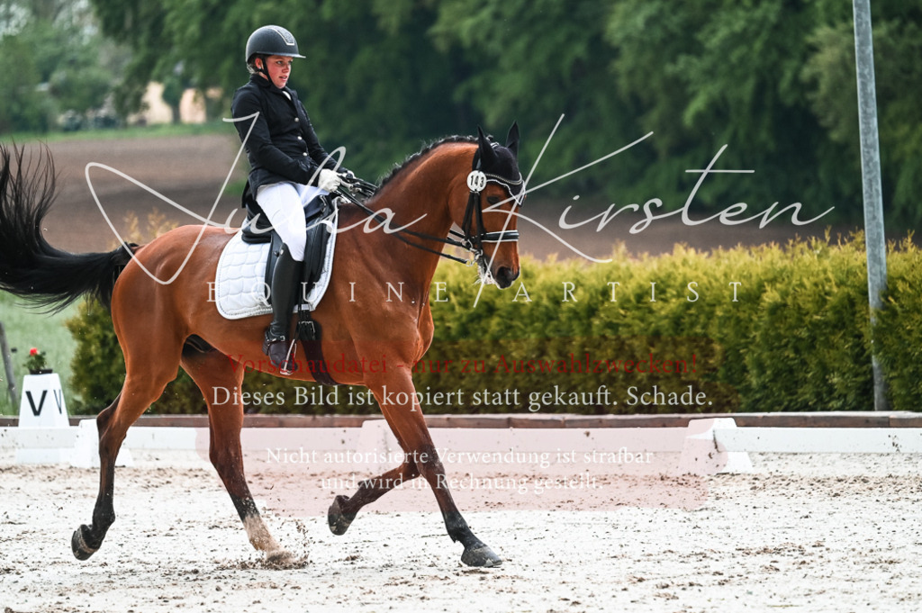 DSC_4382 | Pferde- und Turnierfotografie in Westsachsen. Pferdeportraits, Auftragszeichnungen und intuitive Kunst.