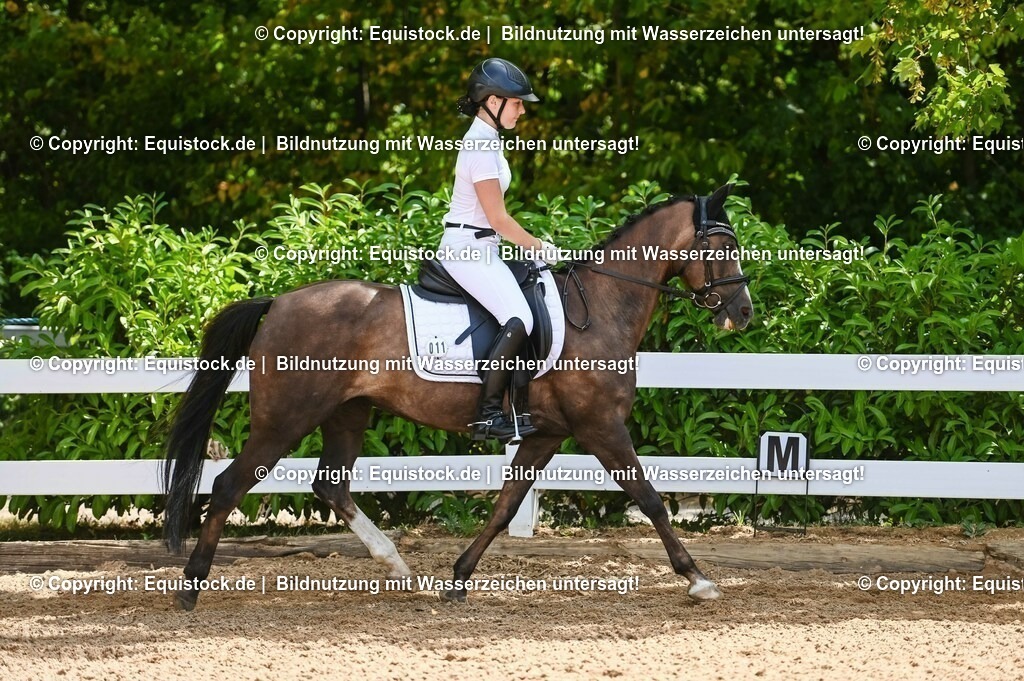 20230715_09_Dressur-WB_0117 | equistock