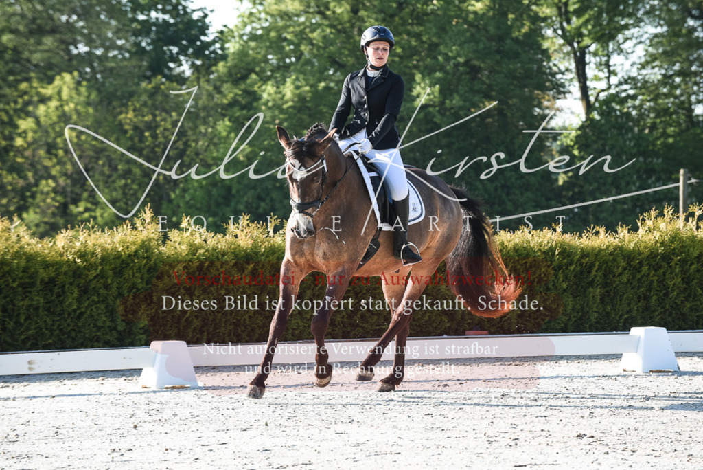 20230518_JK-Röhrsdorf-09-0052 | Pferde- und Turnierfotografie in Westsachsen. Pferdeportraits, Auftragszeichnungen und intuitive Kunst.
