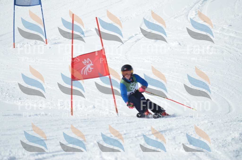 D9113 | holidayphoto