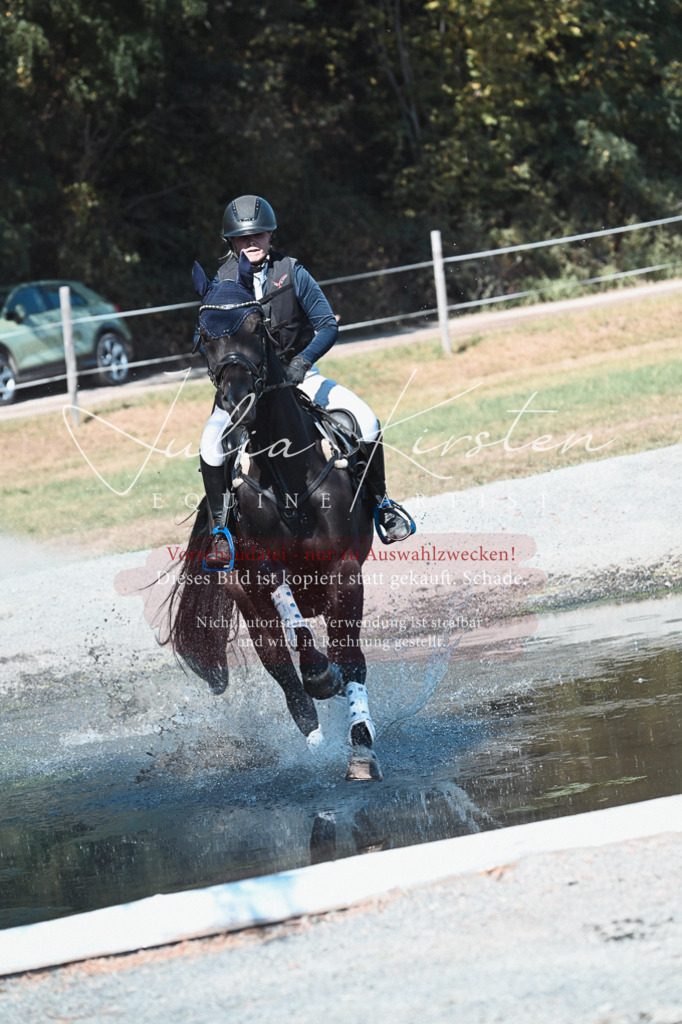 DSC_8579 | Pferde- und Turnierfotografie in Westsachsen. Pferdeportraits, Auftragszeichnungen und intuitive Kunst.