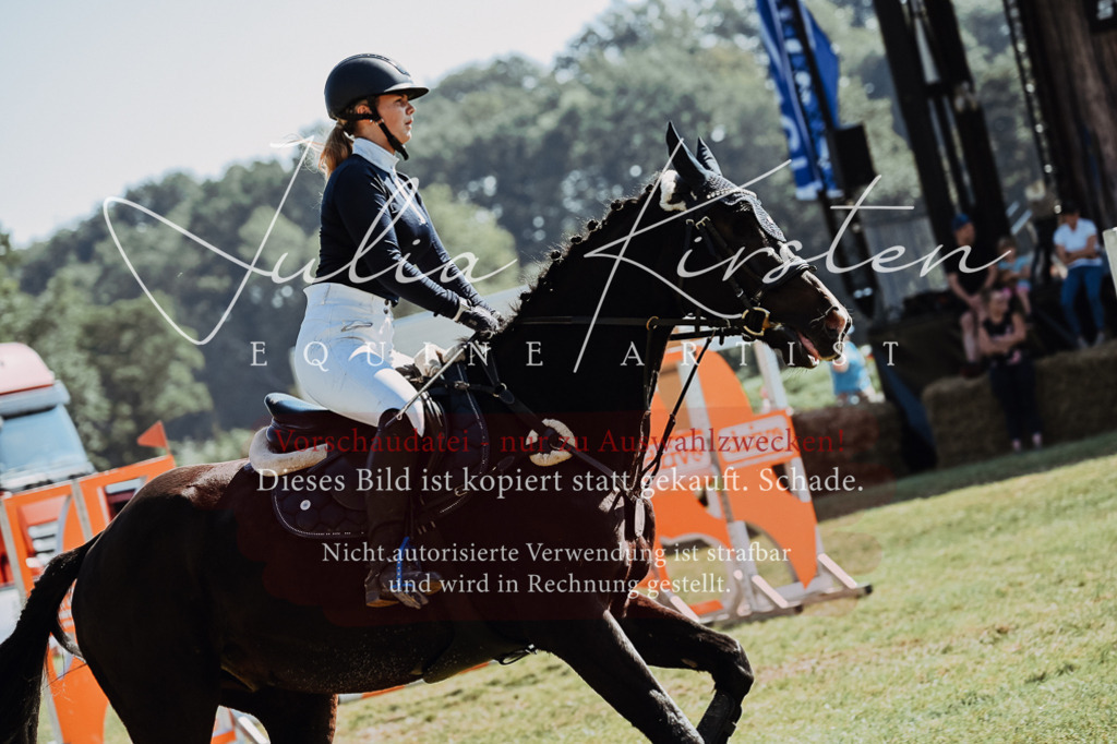 DSC_5759 | Pferde- und Turnierfotografie in Westsachsen. Pferdeportraits, Auftragszeichnungen und intuitive Kunst.