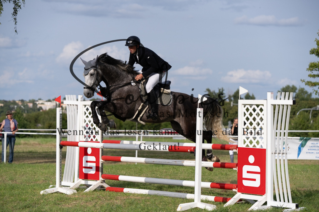 A7V04990 | Pferdefotograf