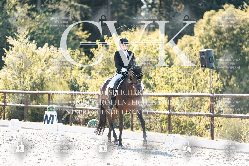 CK906295 | Turnierfotografie Pferdefotografie Trier Rheinland-Pfalz Pferdesport Reitsport Tierfotografie Sportfotografie Pferdevideo Pferdevideografie Equestrianvideography equestrianphotography  - Realisiert mit Pictrs.com