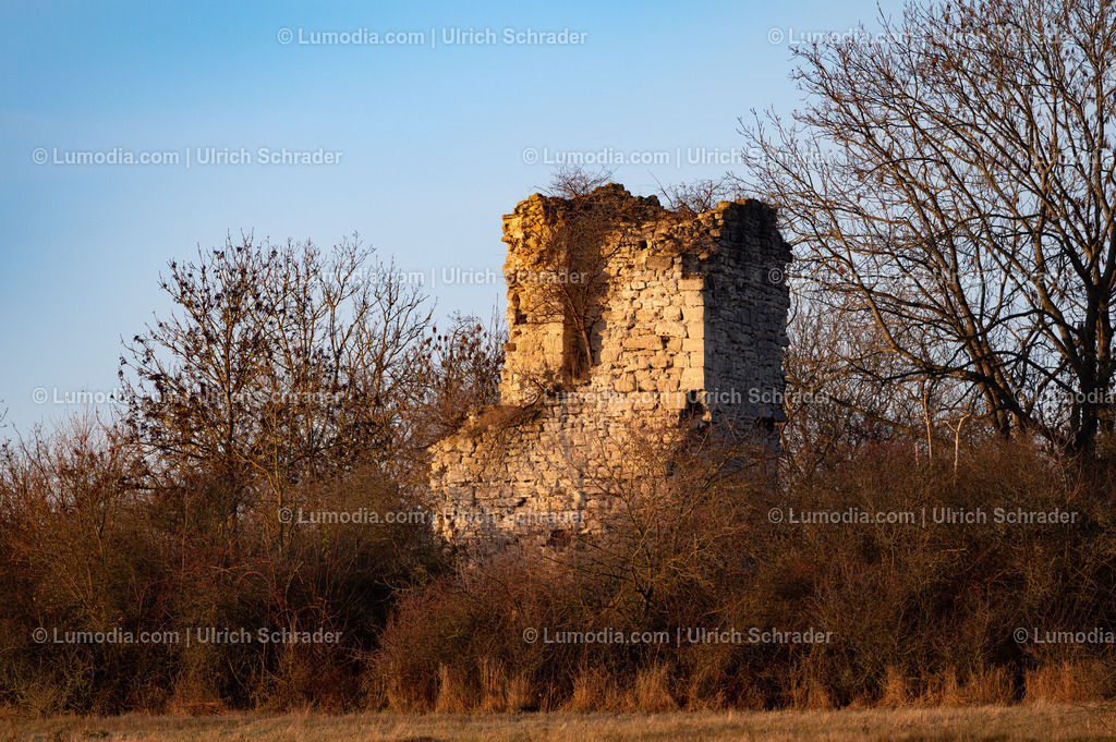 10049-13915 - Paulskopfwarte im Huy bei Halberstadt | Stockfoto und Bilderpool mit Bildmaterial aus Deutschland, dem Harz, Halberstadt, Quedlinburg, Wernigerode und weltweit. Qualitativ hochwertige und professionelle Fotos anschauen und kaufen. - Realisiert mit Pictrs.com